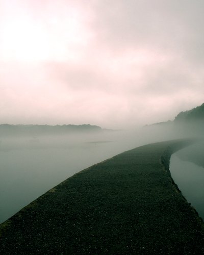 Misty Path - A Favorite Photo by Nick